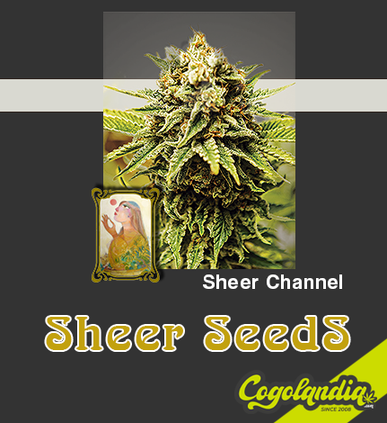 Sheer seeds